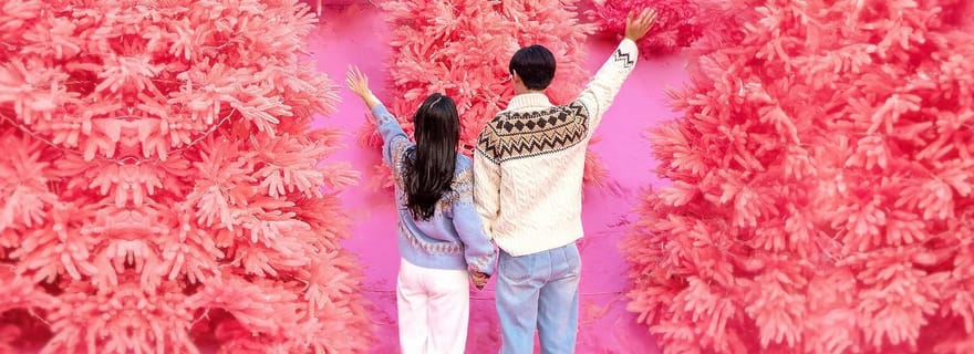 Depuis Séoul : circuit romantique au pays des merveilles hivernales