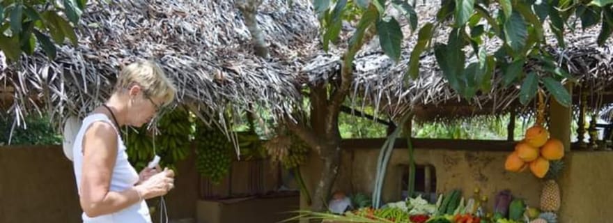 Village agricole : visite guidée à pied et déjeuner local