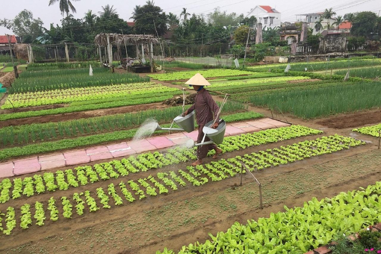 Hoi An: Tra Que Village Tour with Lantern-Making Workshop