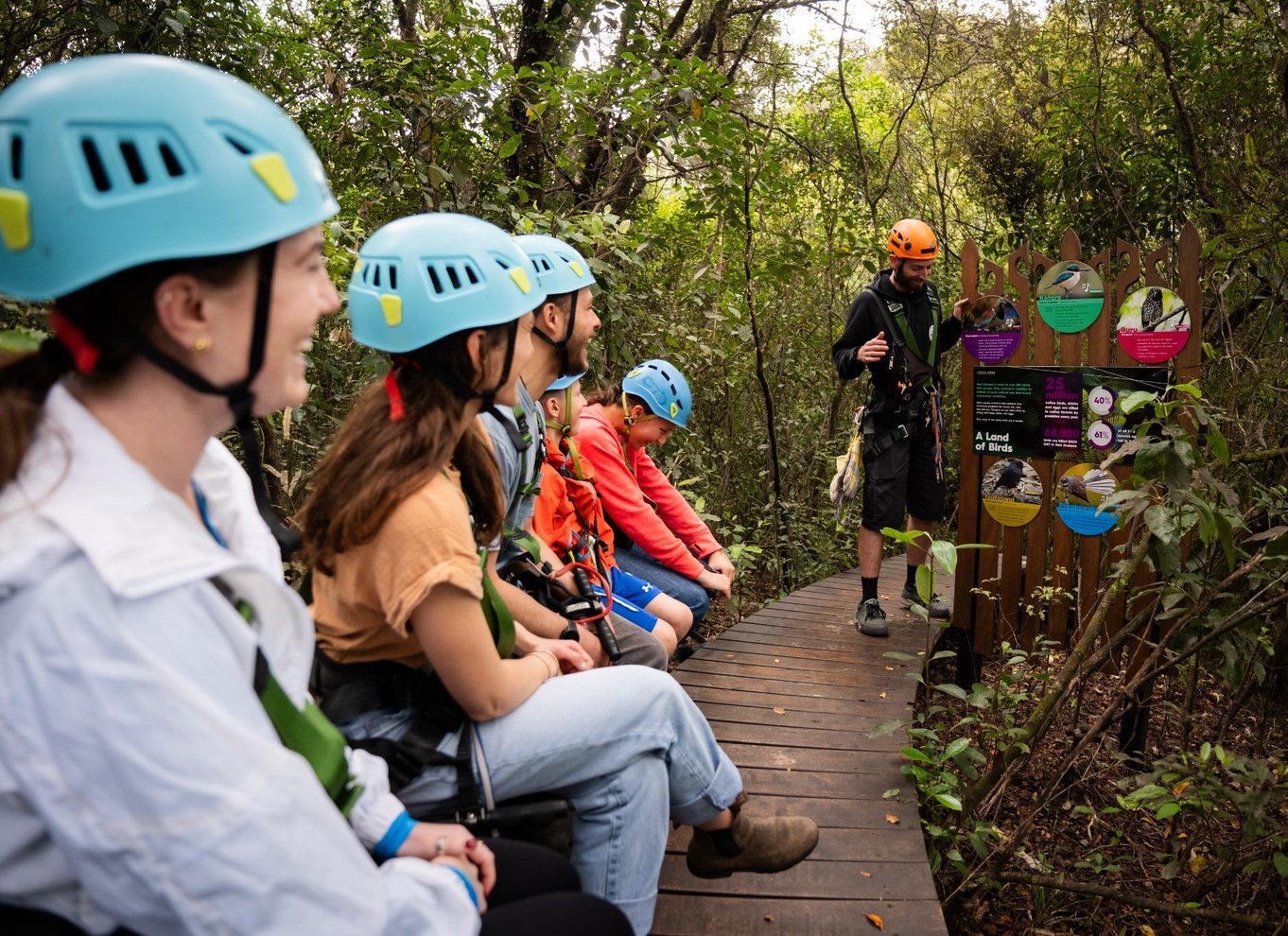 Rotorua Ziplines: Zipline over vandfaldene – GRATIS sauna