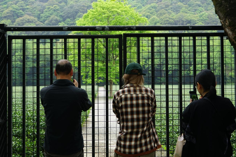 Hangzhou Half-Day: Pagoda, Bamboo Grove, and Old Street Tour