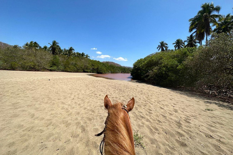 Zihuatanejo: Passeio a cavalo com a praia de Playa Larga