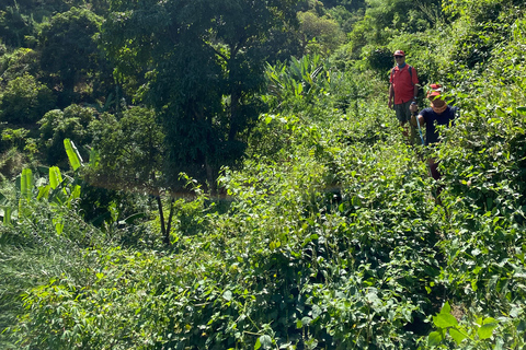 From Praia: Purgueira-Picos Sunrise Hike with Picnic Santiago: From the Beach, a Sunrise Hike to Purgueira-Picos with a Picnic