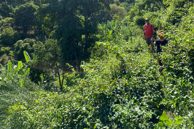 From Praia: Purgueira-Picos Sunrise Hike with Picnic Santiago: From the Beach, a Sunrise Hike to Purgueira-Picos with a Picnic