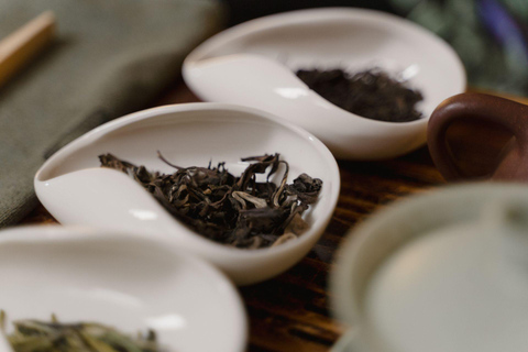 Colombo: Ceylon Tea Tasting Experience with Attractions
