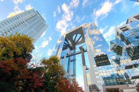 Osaka: Explore Cultural Gems with Pickup & Private Guide