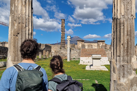 From Naples: Pompei and Naples Tour with tickets included Private tour with driver only - Pompeii tickets included