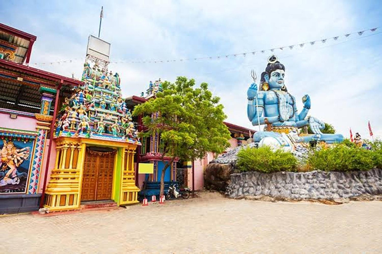 Kandy: Trincomalee Guided Cultural Heritage & Coastal Tour