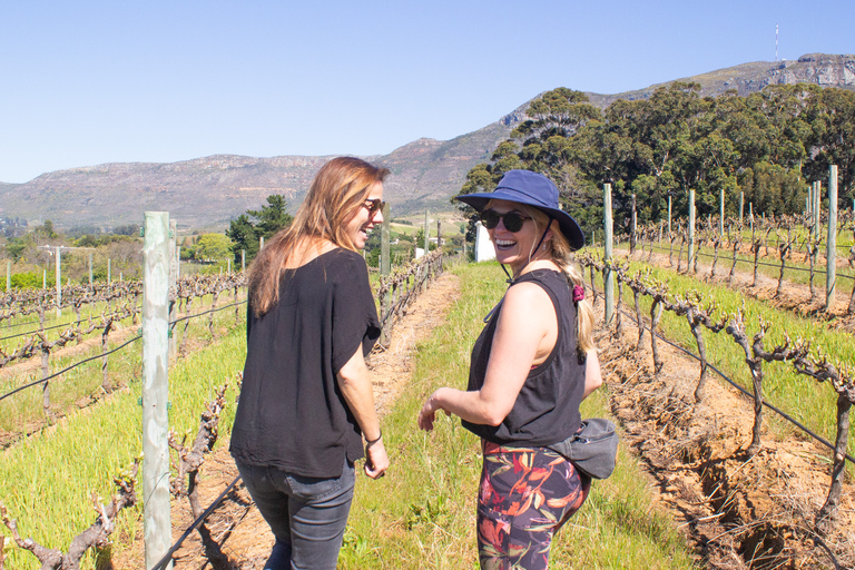 Constantia: Wine Walk with Lunch and Enchanting Stories