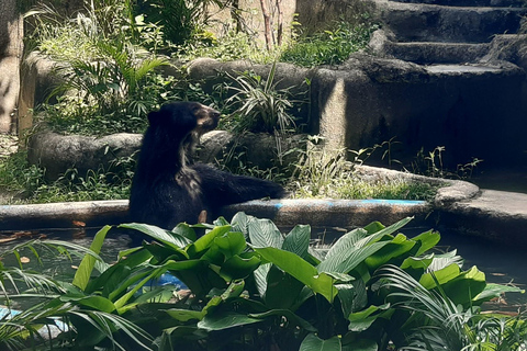 Río de Janeiro: Tour guiado por el BioParque con traslado