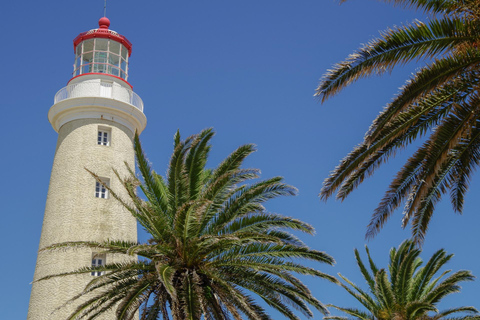 Punta del Este: Privétour te voet door de Joodse geschiedenis van de oude stadPunta del Este: Privétour te voet door de oude Joodse wijk