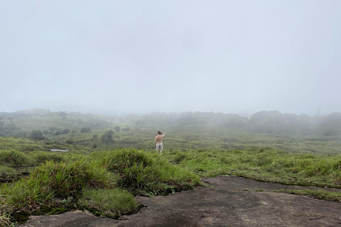 Tedo 7 Waterfalls Peak Adventure – Knuckles Mountain Range