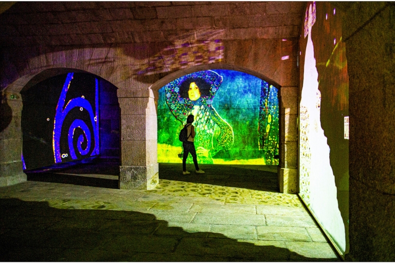 Porto: Bilet do Galerii Immersivus Porto ExperienceImponujący Monet i genialny Klimt