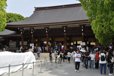 Tokyo e Fuji: Tour privato di 2 giorni con auto PremiumTokyo e Fuji: Tour privato di 2 giorni in auto Premium