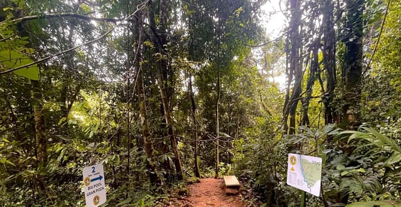 Manuel Antonio: Nauyaca Waterfall 4x4 Jungle Adventure