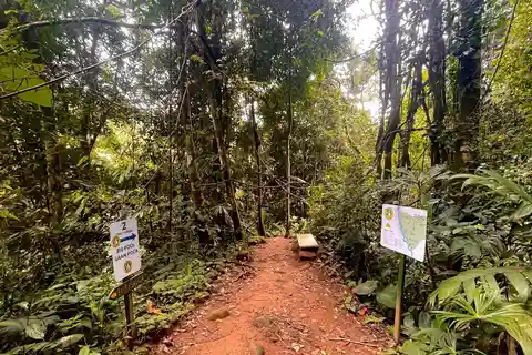 Quepos: Nauyaca vattenfall & Salto del Diamante