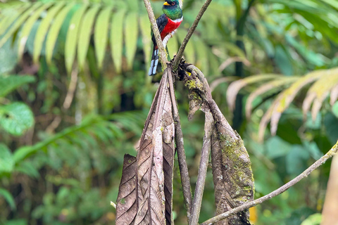 Quito: 2-Day Cloud Forest Experience