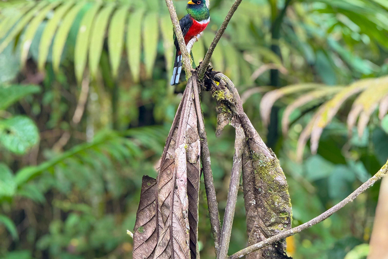 Quito: 2-Day Cloud Forest Experience