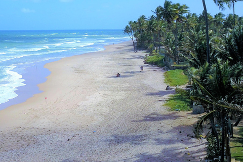 Salvador North Shore: Beach Hopping Tour to Praia do Forte
