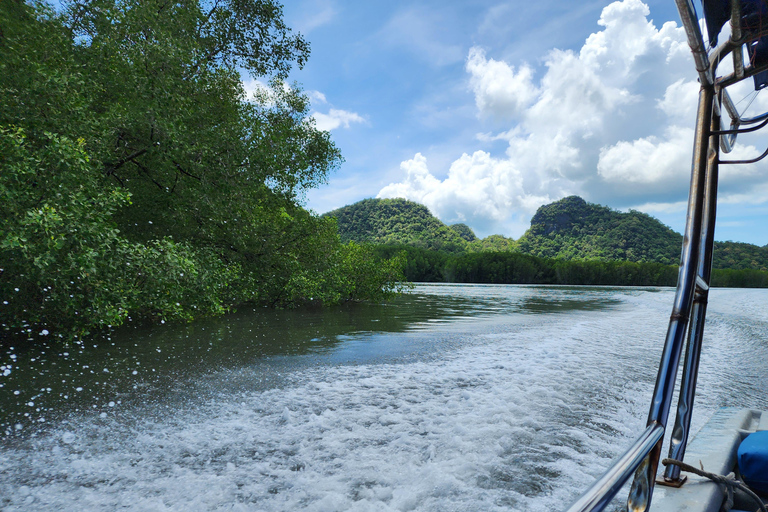 Langkawi : Tour en barco y kayak por los manglares con almuerzo