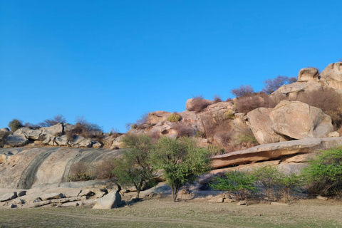 Udaipur: Day Trip to Ranakpur, Kumbhalgarh & Leopard Safari