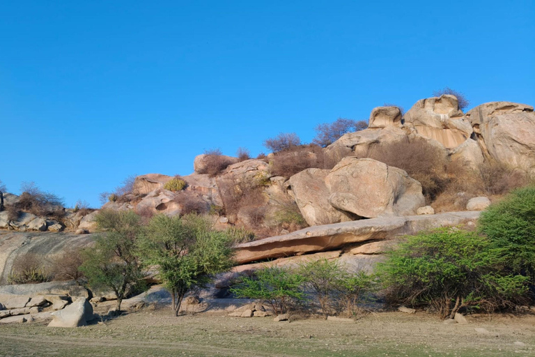 Udaipur: Day Trip to Ranakpur, Kumbhalgarh & Leopard Safari