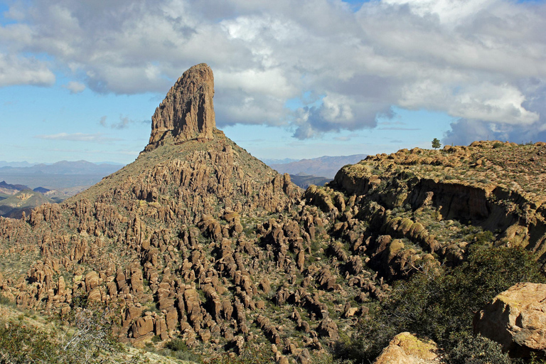 Tucson: Sonoran Desert Guided Hike with Naturalist Guide