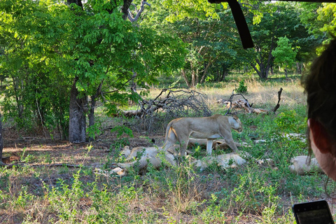 Chobe National Park Day Trip from Livingstone & Vic Falls