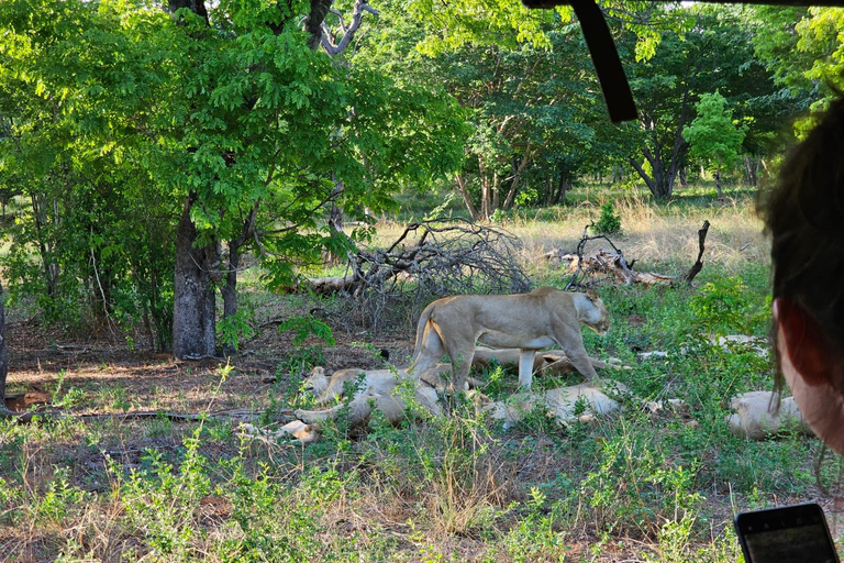 Chobe National Park Day Trip from Livingstone & Vic Falls