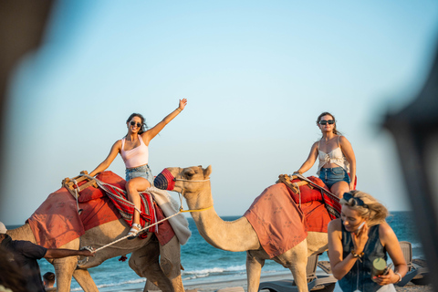 Doha: Full day Overnight & Day pass in Pvt Desert Beach Camp Doha: Full day Dune Bashing with a meal in Desert Beach Camp