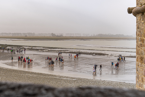 Depuis Paris : Excursion au Mont Saint Michel avec un guideDepuis Paris : Excursion d'une journée au Mont Saint Michel avec un guide