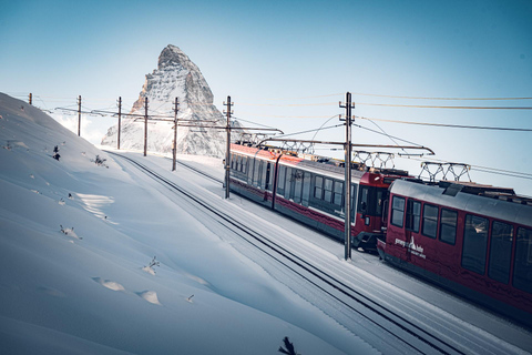 De Genebra: Viagem de 1 dia a Zermatt