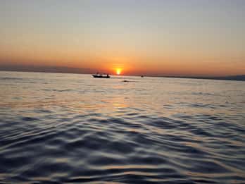 Bali Dolphin tour and sunrise in Lovina