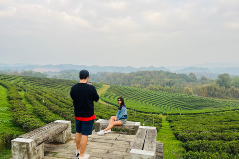 Chiang Rai: 7 Must-See Spots Tickets & Lunch Included Chiang Rai: 7 Must-See Spots Tour with Tickets and Lunch