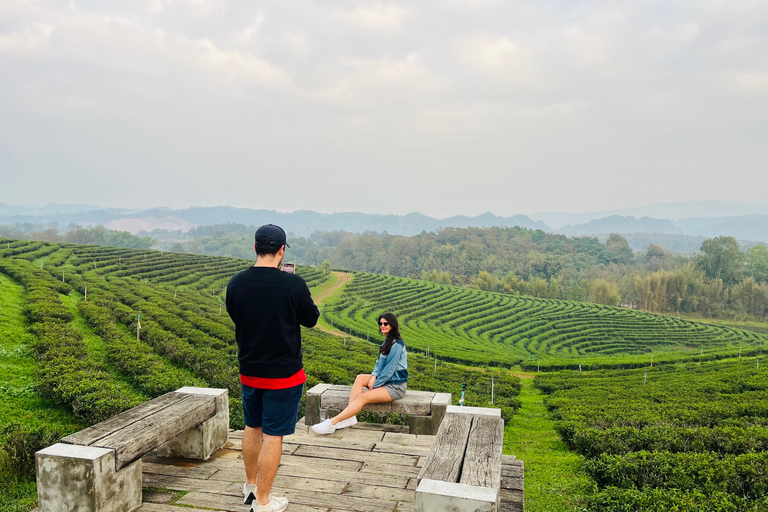 Chiang Rai: 7 Must-See Spots Tickets & Lunch Included Chiang Rai: 7 Must-See Spots Tour with Tickets and Lunch