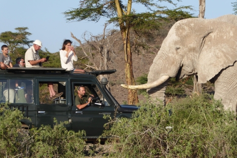 3 Tage Amboseli Luxus Lodge Safari auf 4x4 Land Cruiser Jeep3 Tage Amboseli Lodge Safari Paket