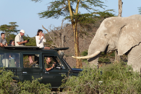 3 Tage Amboseli Luxus Lodge Safari auf 4x4 Land Cruiser Jeep3 Tage Amboseli Lodge Safari Paket