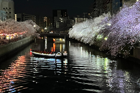 Cherry Blossom Boat tour in Yokohama, Minato Mirai