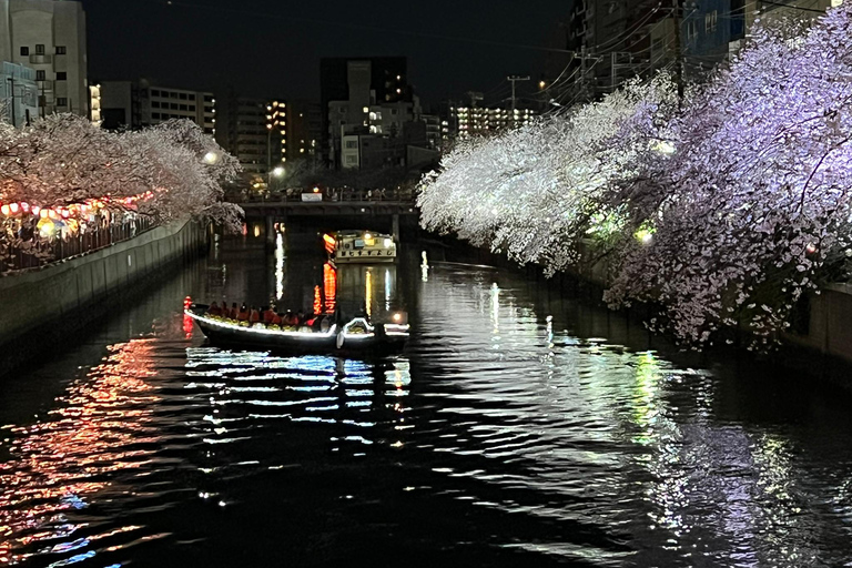 Cherry Blossom Boat tour in Yokohama, Minato Mirai