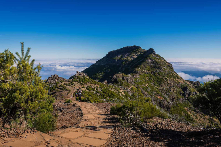 Funchal : randonnée au Pico Ruivo et à l&#039;Achada do Teixeira avec transfertFunchal : transfert pour randonnée au Pico Ruivo et à Achada do Teixeira