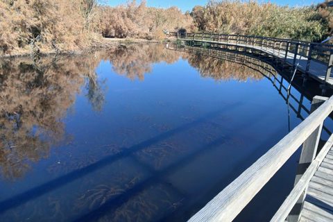 Amman: Mount Nebo and Mujib Siq Trail Day Trip Mujib Nature Reserve Only