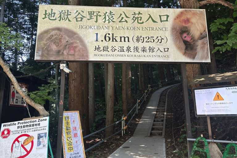 Nagano/Tokyo: Snow Monkey Private Day Tour At Lowest Rate