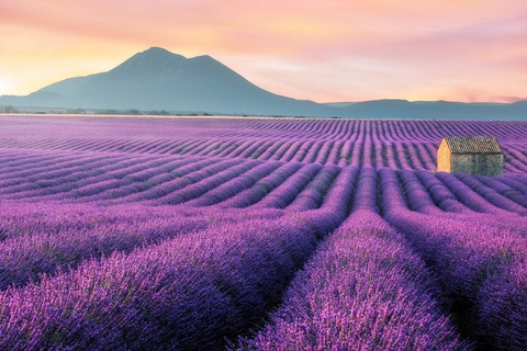 Alpes selvagens, Canyon de Verdon, vilarejo de Moustiers, campos de lavanda