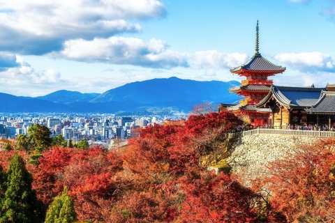 Tokyo: 10-hour Customizable Tour with Private Car 10-hour Customize Tour in a Sedan (1-3 Pax)