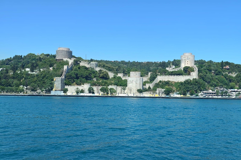 Explore Istanbul: Daily Scenic 2-Hour Bosphorus Cruises Sunset Cruise