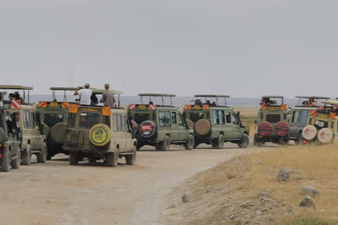 3 dagars Amboseli safari med lyxig lodge och flyg3 dagar Amboseli flygpaket