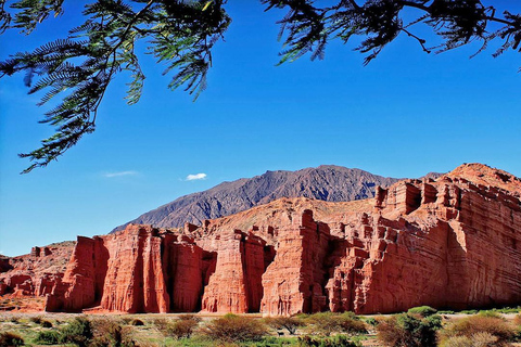 From Salta to Cafayate: Devil's Throat, Amphitheater, and Valley Wines