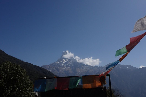 Pokhara: Schneller Mardi Himal Trek