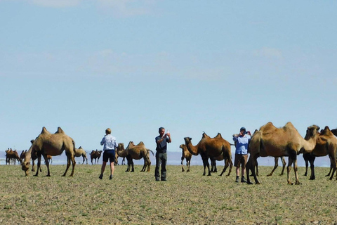 Mongolia: Desierto de Gobi y Kharkhorin, Excursión por Mongolia Central