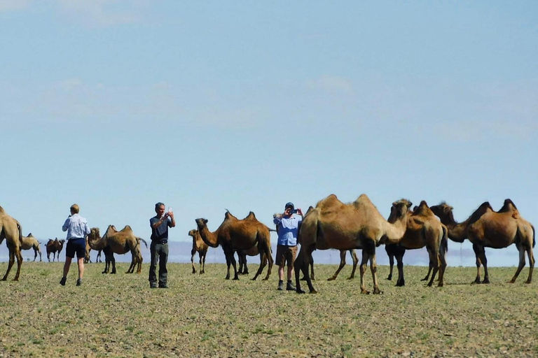 Mongolei: Wüste Gobi und Kharkhorin, Zentralmongolei Tour